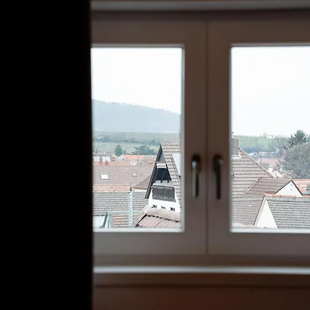 Appartement Stilvolles Fuer 4 Gaeste In Bester Lage In An Der Weinstrasse Deidesheim